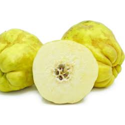 Quince Tree - Cooke’s Jumbo