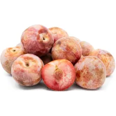 Pluot Trees - Dapple Dandy and Flavor Queen Combo Package