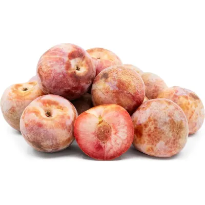 Pluot Trees - Dapple Dandy and Flavor Queen Combo Package